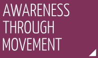awareness through movement category