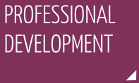 Professional development category